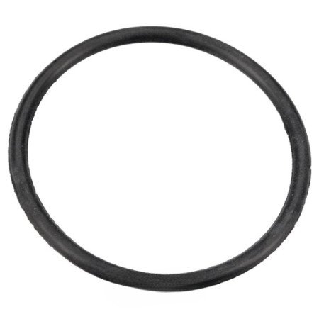1766470100 Прокладка O-Ring кришки контейнера для солі для посудомийки Beko (C00864440)