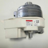 481010584356 Двигун BPM, ASKOLL 15 mm ПМ Whirlpool (Заміна 481010511040) (C00312282)