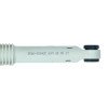 00306069 Амортизатор для пральної машини ANSA Samsung 60 N Ø10+10mm max.254mm, min. 172mm. DC66-00343C [167SU04] (SAR010SA)
