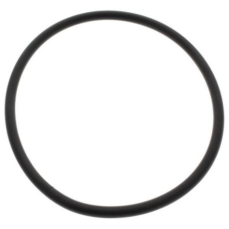 481263058103 Прокладка O-Ring відстійника води для ПММ (C00320307)