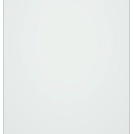 C00857850 Двері холодильного відділення Whirlpool (488000857850)