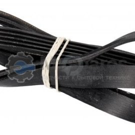Ремень 1308 J5 EL - OPTIBELT - AMICA 8010387 BLJ840UN