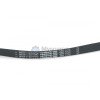 Ремень 1315 H8 EL OPTIBELT Gorenje 87610, 151041 [00126621] BLH600UN